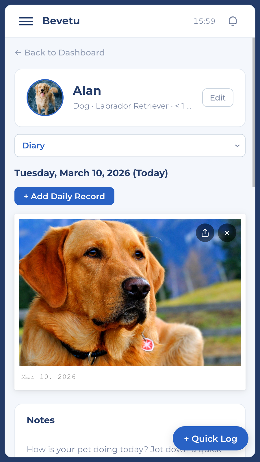 Bevetu App - Pet Dashboard